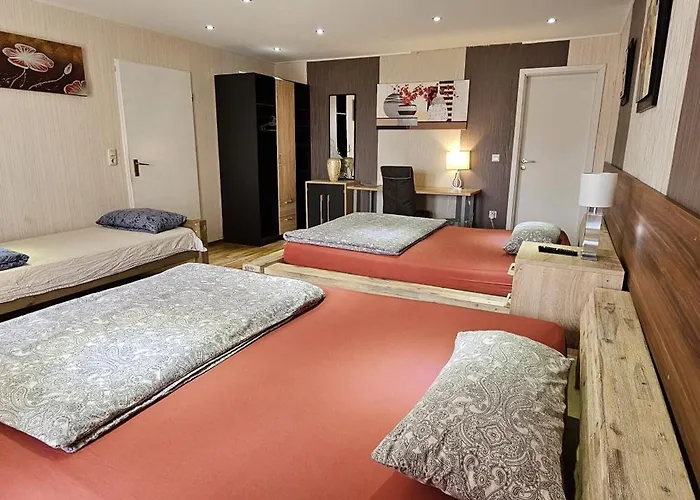 Penzion Gruendauer Monteurwohnung/studentenwohnung 3*